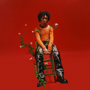 日韩美女深夜福利
