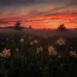 日韩美女深夜福利
