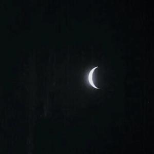 日韩美女深夜福利
