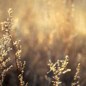 日韩美女深夜福利
