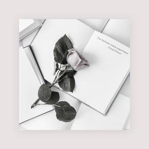 日韩美女深夜福利
