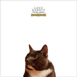 日韩美女深夜福利
